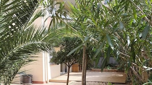 Ein Gartenbereich mit Palmen und einem kleinen Baum, Kiesboden und einem Gebäude im Hintergrund.
