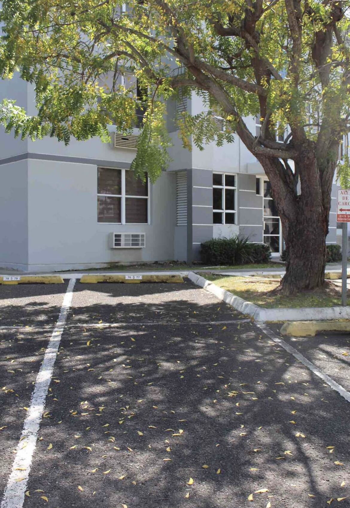 A parking lot with a tree in the foreground, a building with large windows and air conditioning units, and a sign with partially visible text.