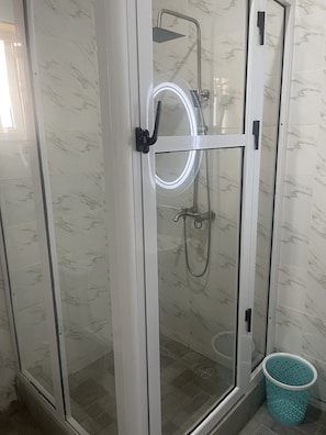 Shower, towels, toilet paper