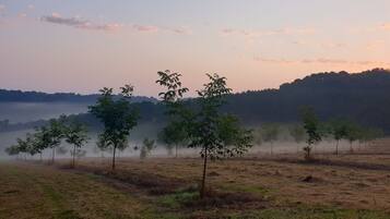 Een mistig landschap met bomen en een heuvelachtige achtergrond.