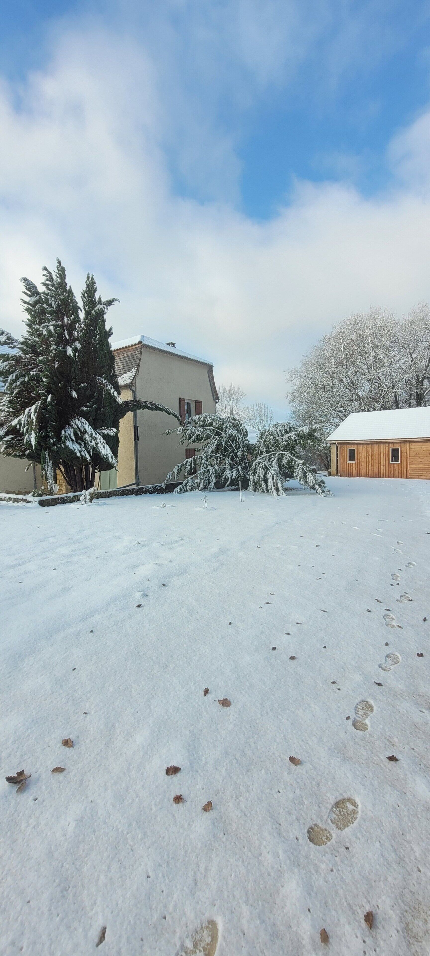 Une cour enneigée, parsemée d’empreintes de pas, avec une maison et un arbre.