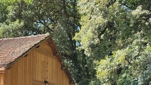 Eine Holzhütte mit Veranda, umgeben von Bäumen.