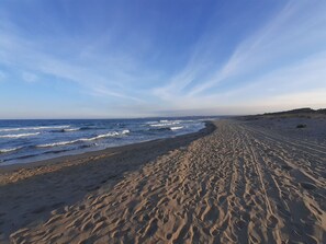 Beach nearby, sun loungers