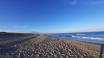 Beach nearby, sun loungers