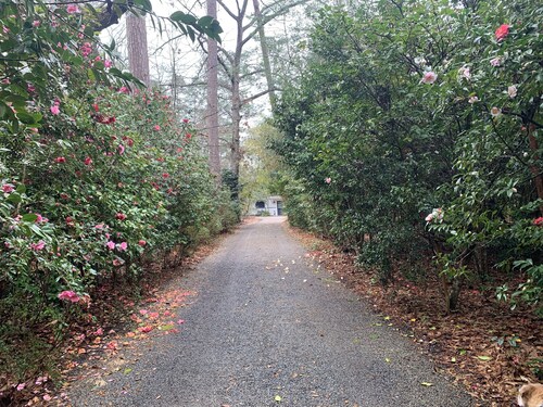 Guest House at Shepard Park - Park setting on private grounds