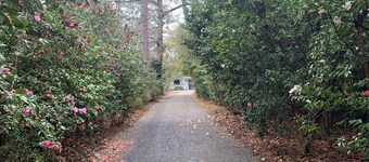 Guest House at Shepard Park - Park setting on private grounds
