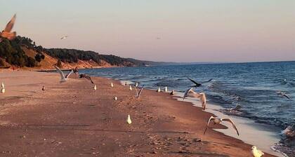 Beach St Escape-Hot tub-5min Walk to the Beach