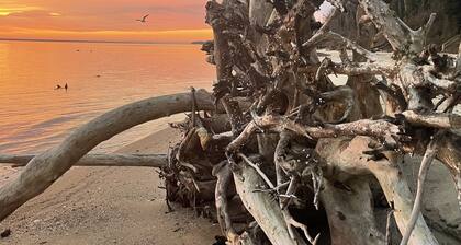 Coastal Haven- Beach w/ BBQ