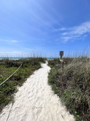 Un sentier sablonneux qui mène à une plage, avec un ciel bleu dégagé.
