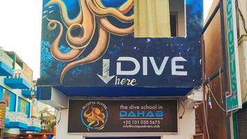 Divers
