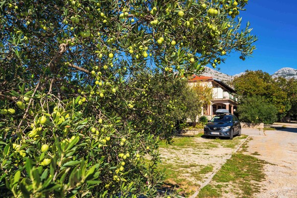 Una casa con un coche estacionado adelante, rodeada de olivos.