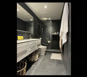 Shower, hair dryer, bidet, towels