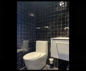 Shower, hair dryer, bidet, towels