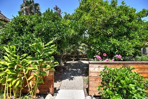 Uma trilha no jardim cercada por vegetação exuberante e vasos de madeira.