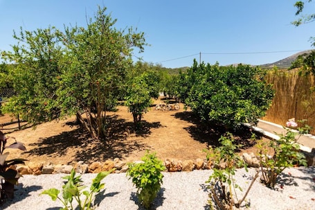 House | Property grounds