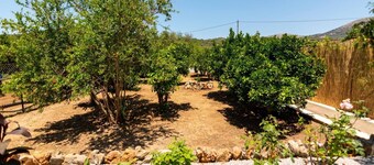 Avdou Village House With Pool