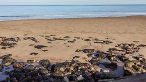 Una spiaggia con vista libera sull'oceano, una battigia sabbiosa e rocce sparse.