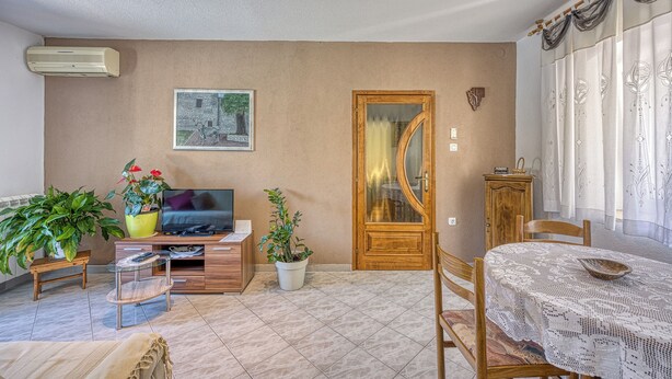Un salon avec un canapé, un téléviseur, des plantes en pot et une table à manger avec des chaises.