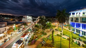 A cityscape at night with a well-lit street, palm trees, and modern buildings.