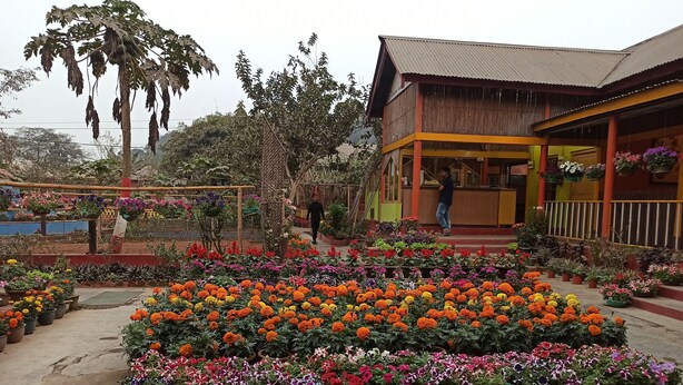Un jardín con diversas flores y un edificio con porche.