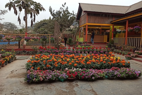 Garden