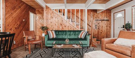 Smart TV, chimenea, libros