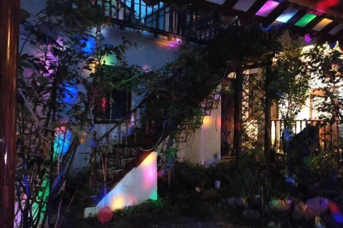 Ein Garten mit Treppe, umgeben von Pflanzen und beleuchtet mit farbigen Lichtern.