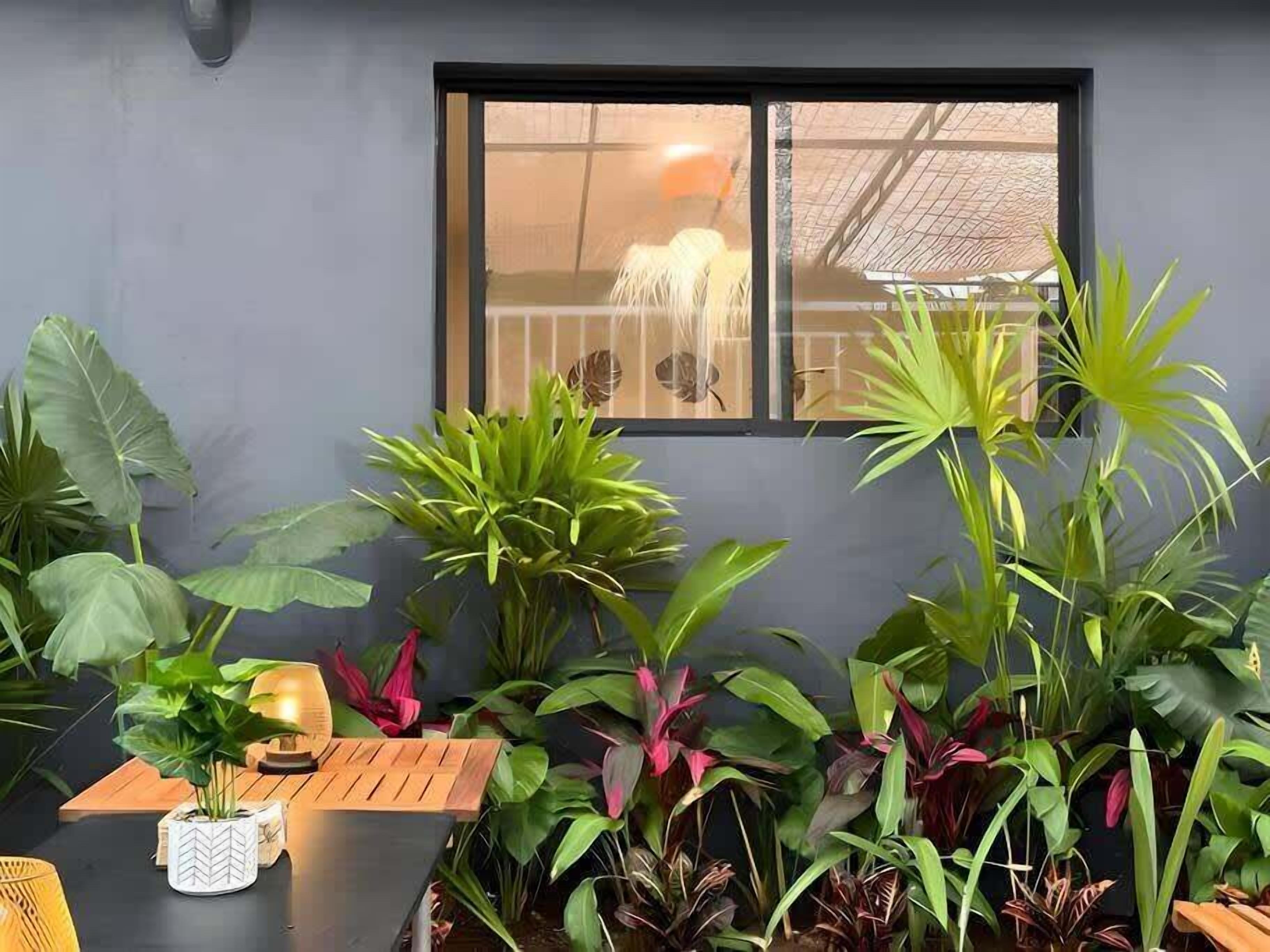 A room with a large window, a wooden table, and various potted plants.