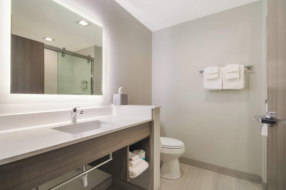 Un baño moderno con un espejo grande, un lavamanos, un inodoro y una zona de ducha.