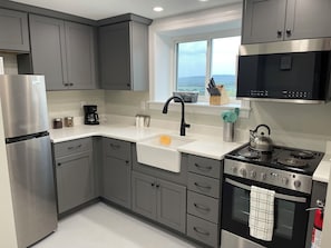 Deluxe-Studio, 1 Schlafzimmer, Küche (Large Studio) | Eigene Küche