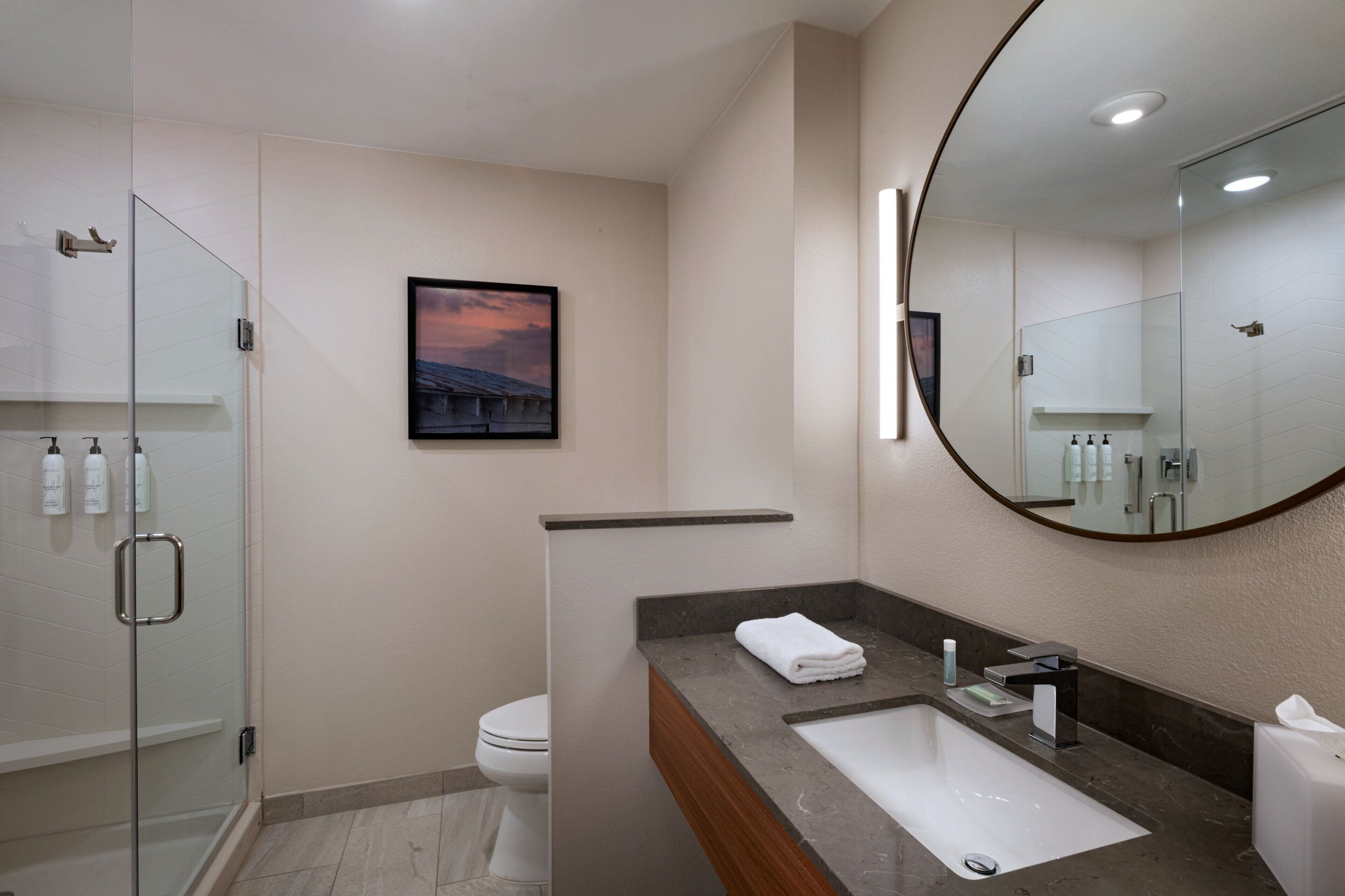 A modern bathroom with a glass shower enclosure, a white toilet, a vanity with a marble countertop, and a large mirror.