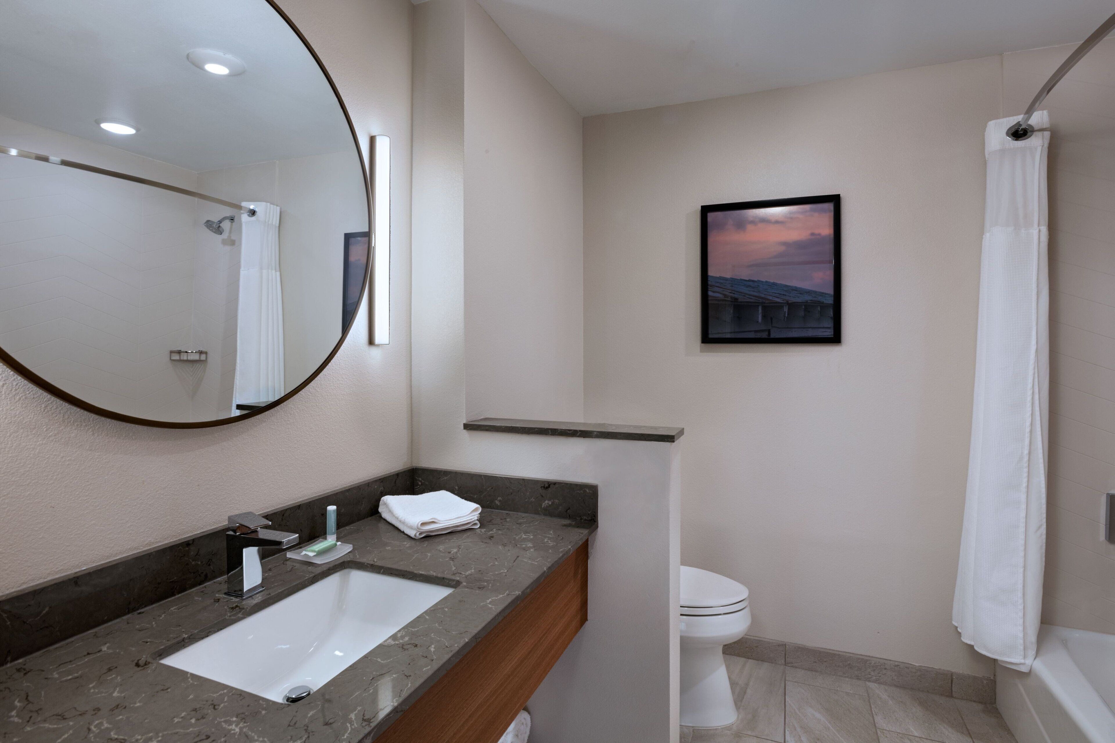 A modern bathroom with a marble sink, a large mirror, a framed picture on the wall, and a shower curtain.