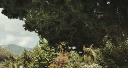 Rondaia Boutique Vineyard Stay – Mallorca, Tramuntana