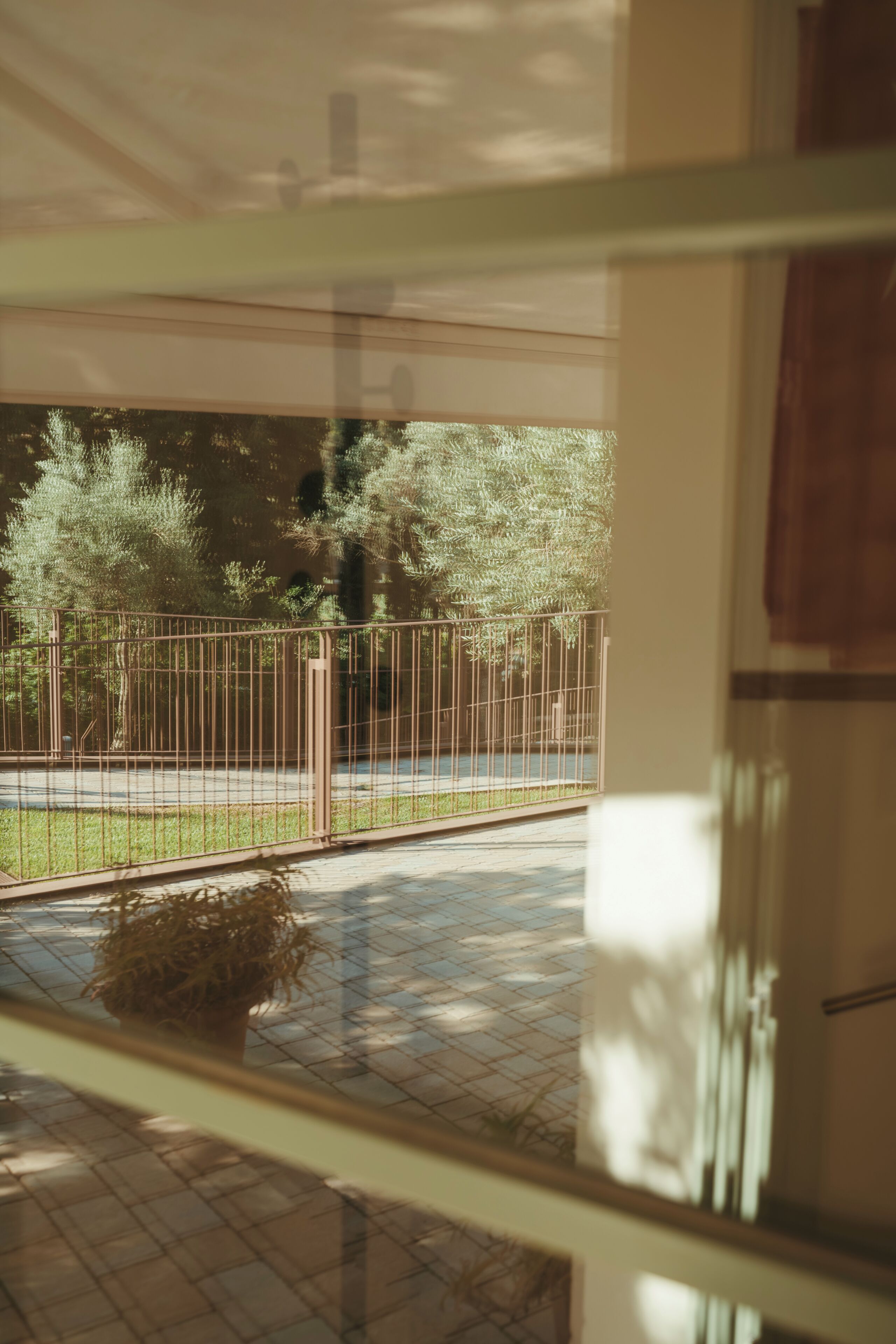 Vista desde un balcón con barandilla de metal, una planta en maceta y suelo de baldosas.
