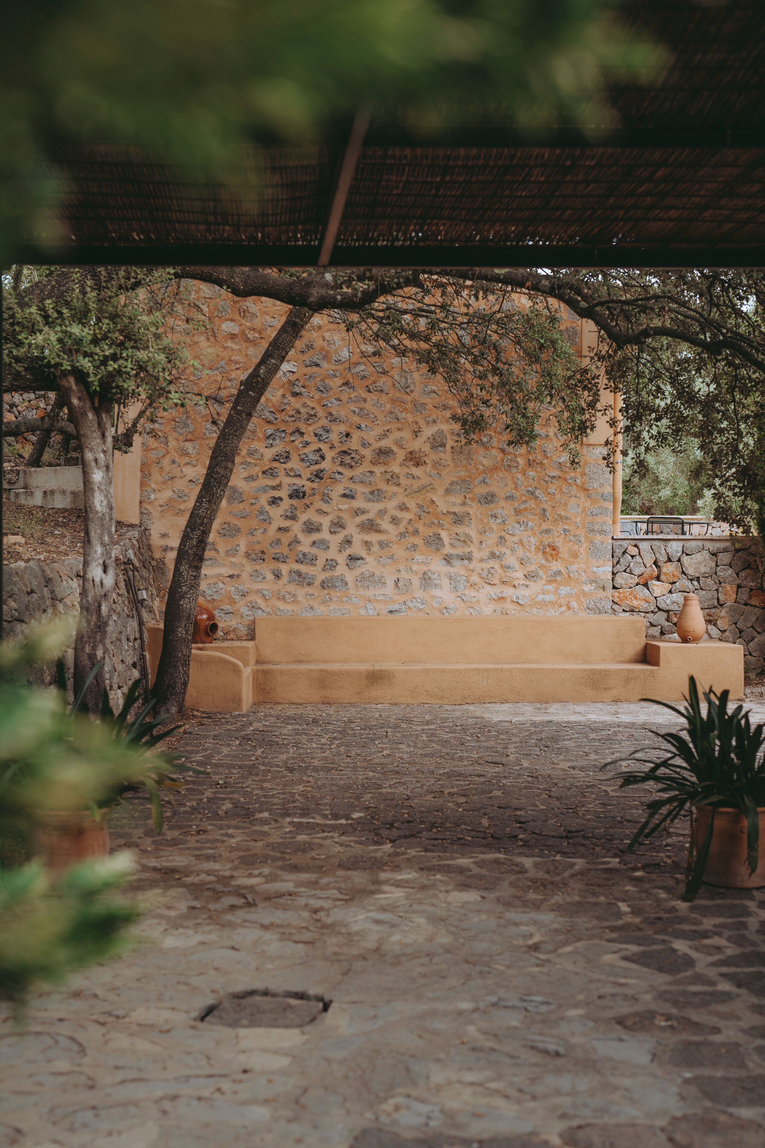 Senior suite | Terras
