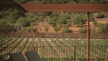 Piscine extérieure, parasols de plage, chaises longues