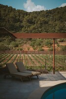 Una piscina al aire libre, sombrillas, sillones reclinables de piscina