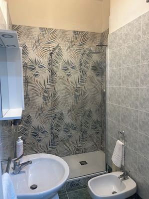 Haartrockner, Bidet, Handtücher, Seife