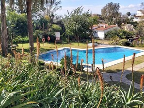 A rectangular swimming pool surrounded by a well-maintained lawn and various plants. - Family apartment with pool, gardens and parking in Malaga (Málaga)