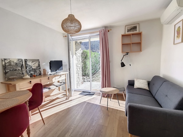 TV, DVD player, books, video library