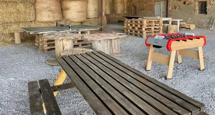 **Charming Farmhouse Retreat: Modern Comfort, Historic Charm, Ideal for Families & Outdoor Enthusiasts**