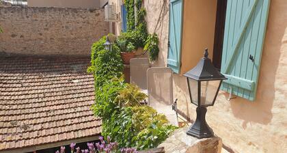 On vacation with the dog? House with enclosed garden in the center of Roquebrun.