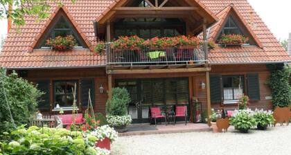 Cozy bright large vacation apartment in a wooden house