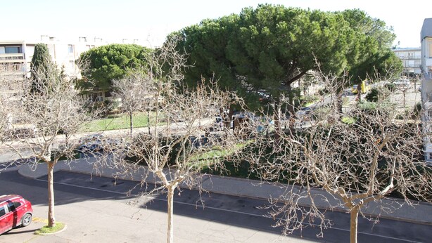 A street scene with a large tree, a parked red car, and buildings in the background. - Bright 1-Bed Apt near Thermal Baths, Equip’d Kitchen, WiFi, Parking, 2-Star Rated, 45m² (Balaruc-les-Bains)