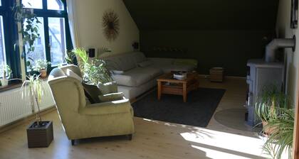 Hide away! "Haus am See! at the old dam Apartment 1st floor