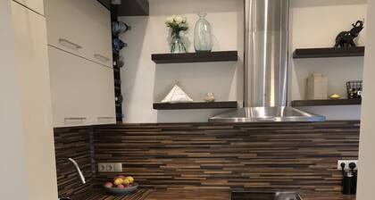 Stunning Apartment in the Heart of OldTown & Vilnius Center (Child/Pet friendly)