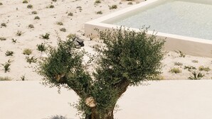 A desert landscape with a pool and a tree in the foreground. - Elysian Retreat - Adults Only (Santorini)
