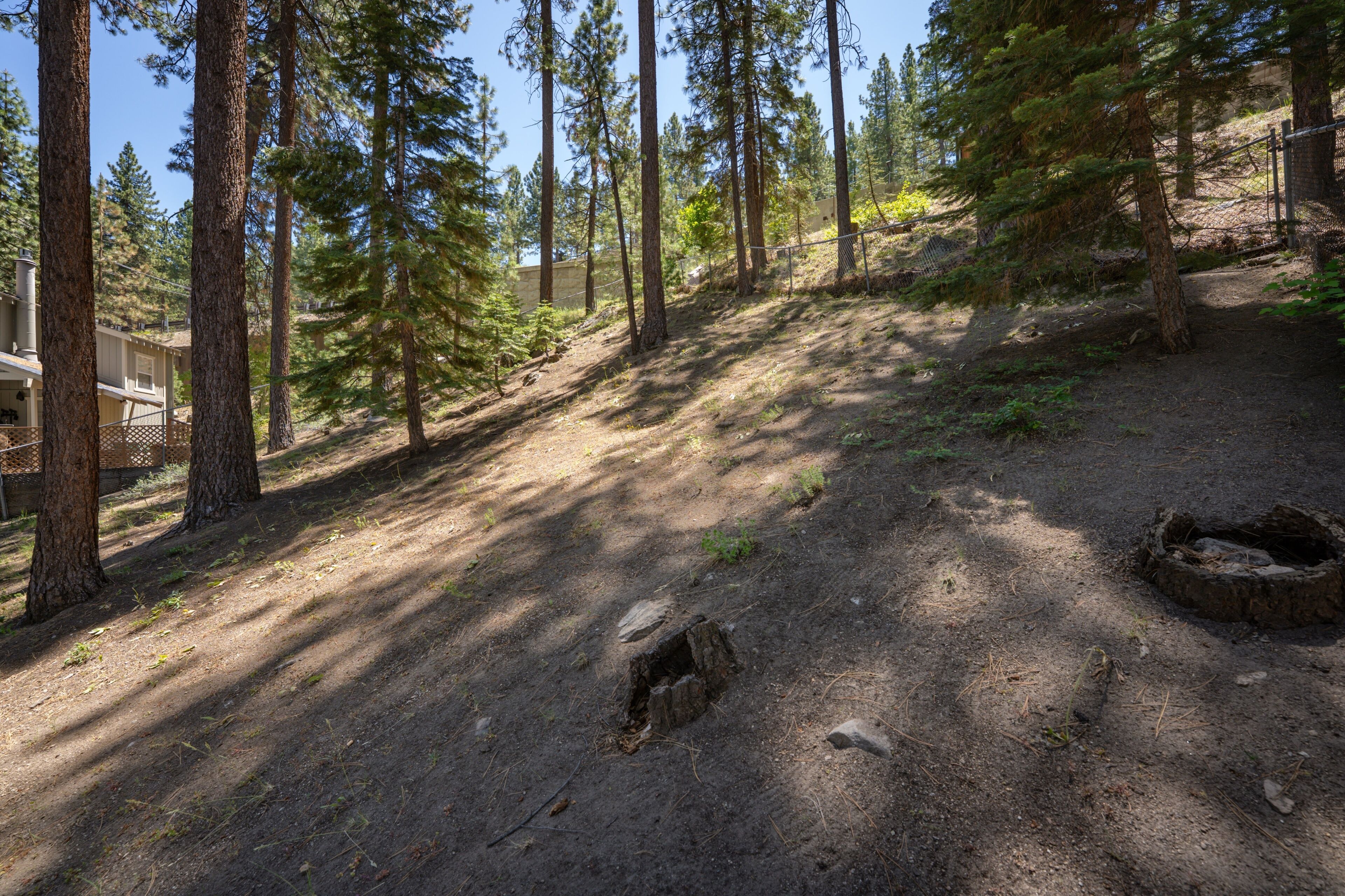 A forested area with a dirt path, a wooden structure, and a fenced area.