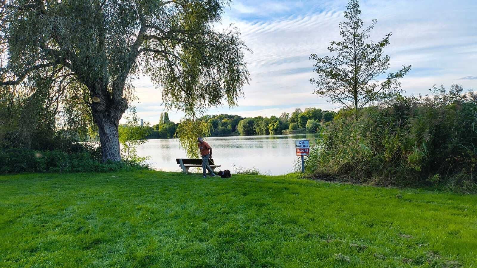 A park with a lake, a bench, and a sign indicating a zone navigable by seagulls.