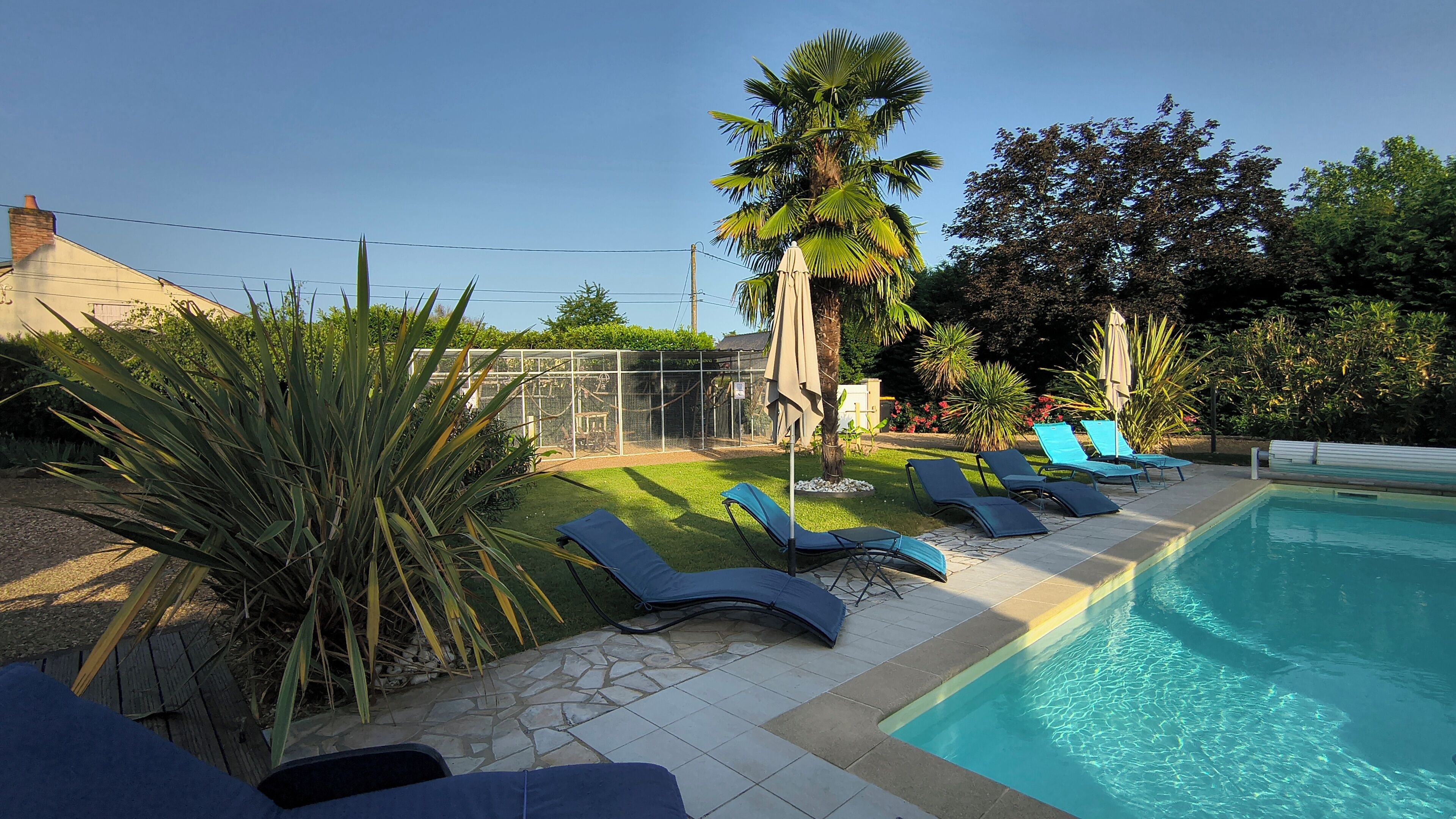 Un patio trasero con piscina, sillas de descanso y diversas plantas.